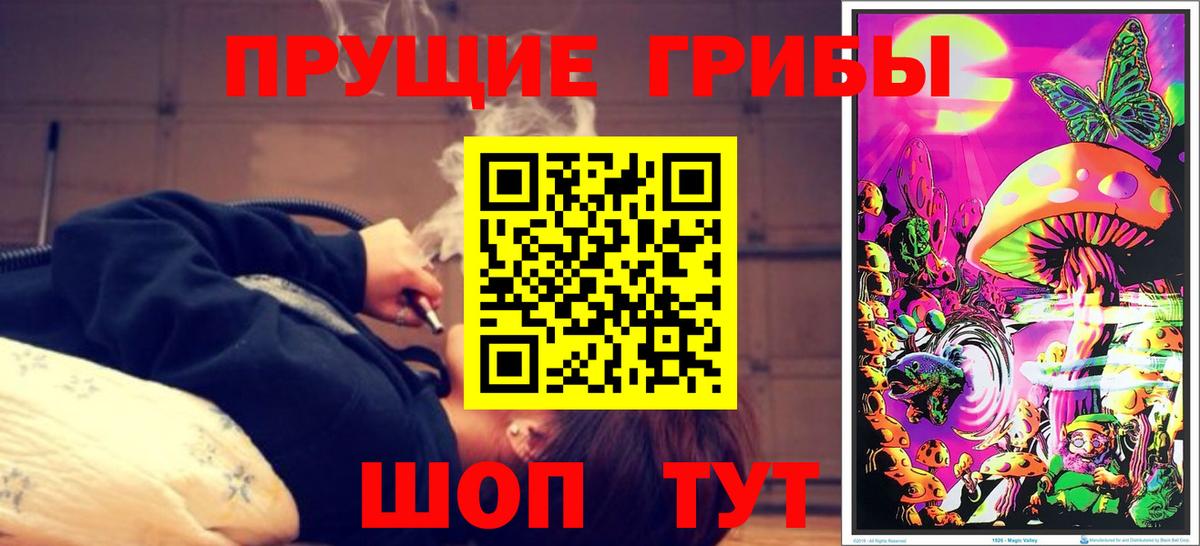 Екатеринбург  Галлюциногенные грибы Psilocybine cubensis  Галлюциногенные грибы Psilocybe  Вход с VPN 